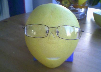 pomelo_arc_szemuveggel.jpg